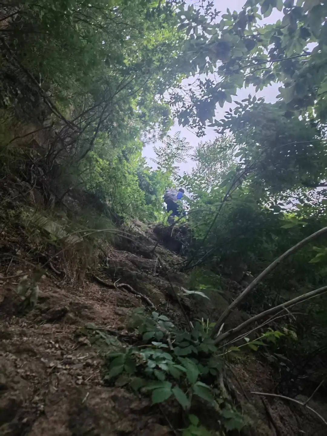 青岛阳光救援队救援1名坠崖驴友